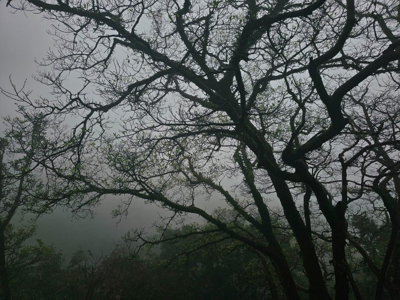 Sutheja Ts's profile photo