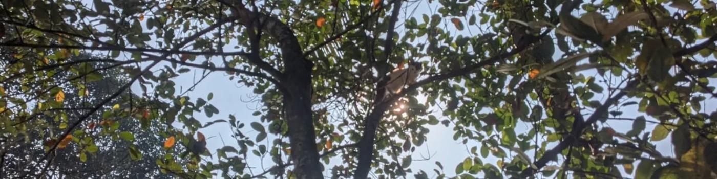 Nathan Paul's cover photo