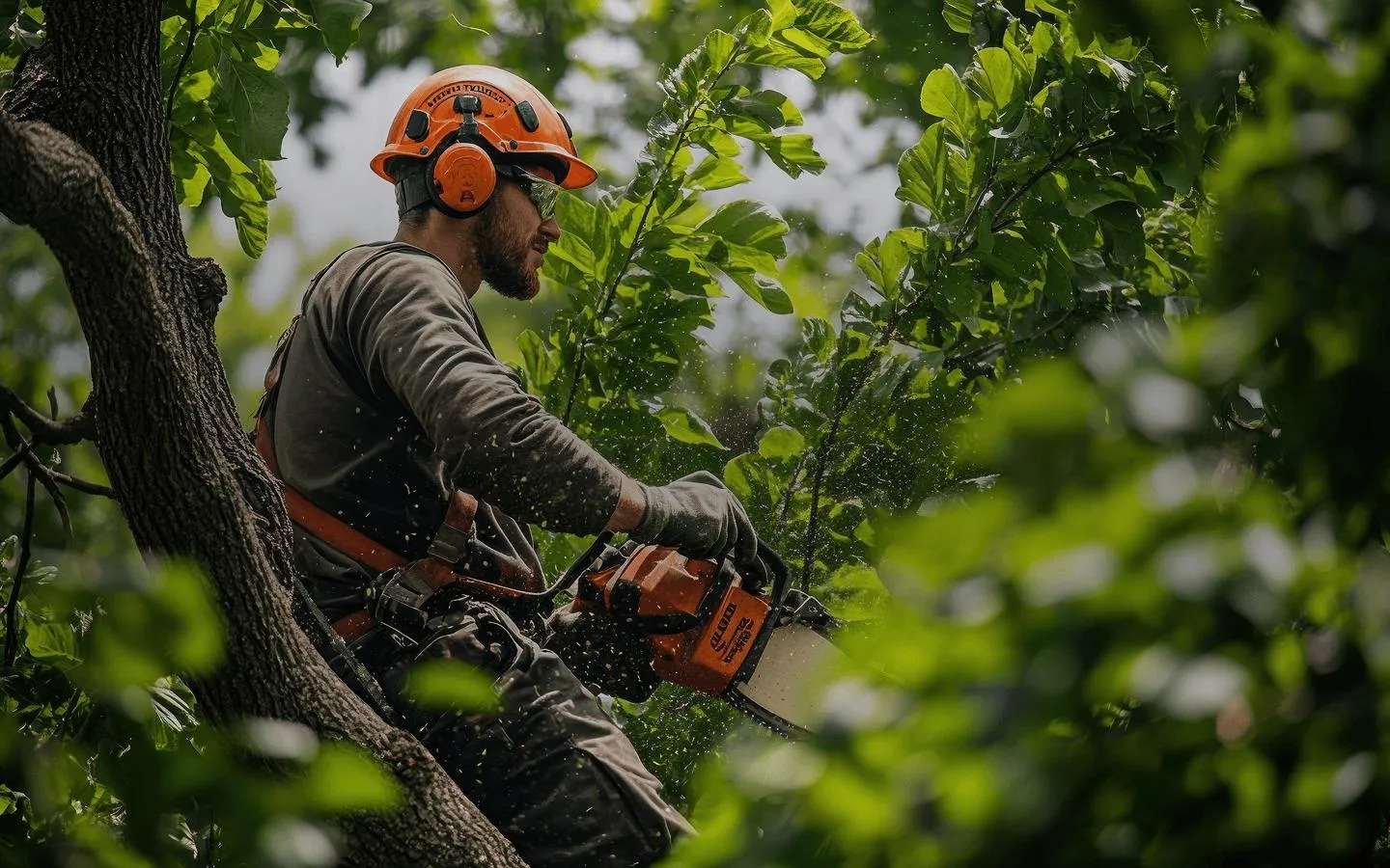Stanton Tree Service's cover photo