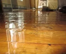 Emergency Cleaning Service's cover photo