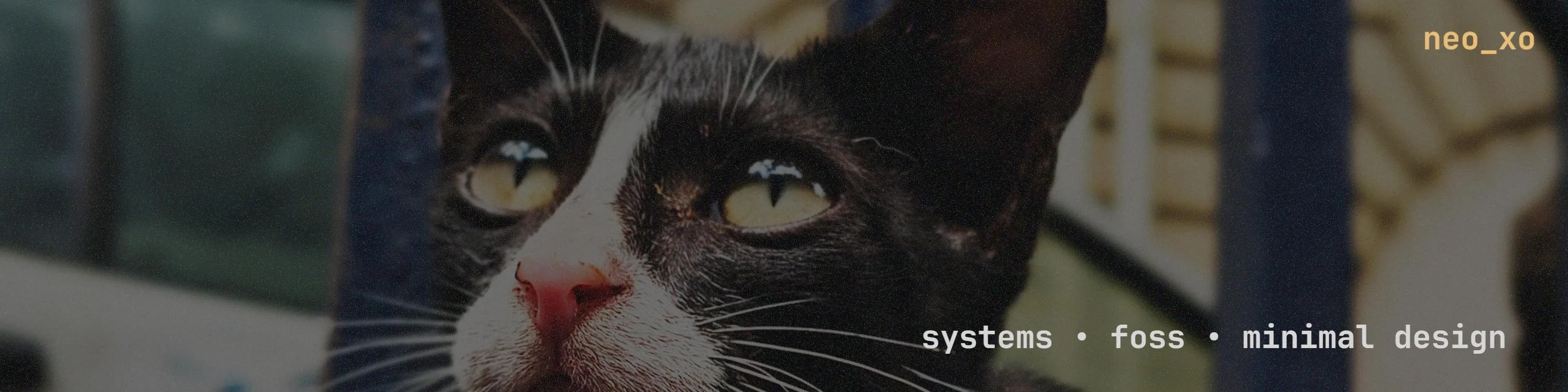 Nnisarg Gada's cover photo