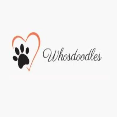 whosdoodles's profile photo