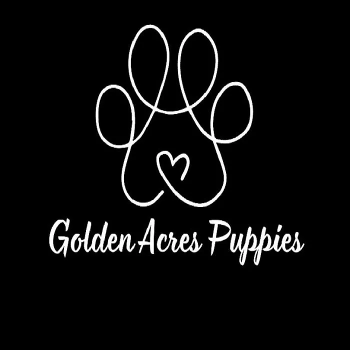 Golden Acres Puppies's profile photo