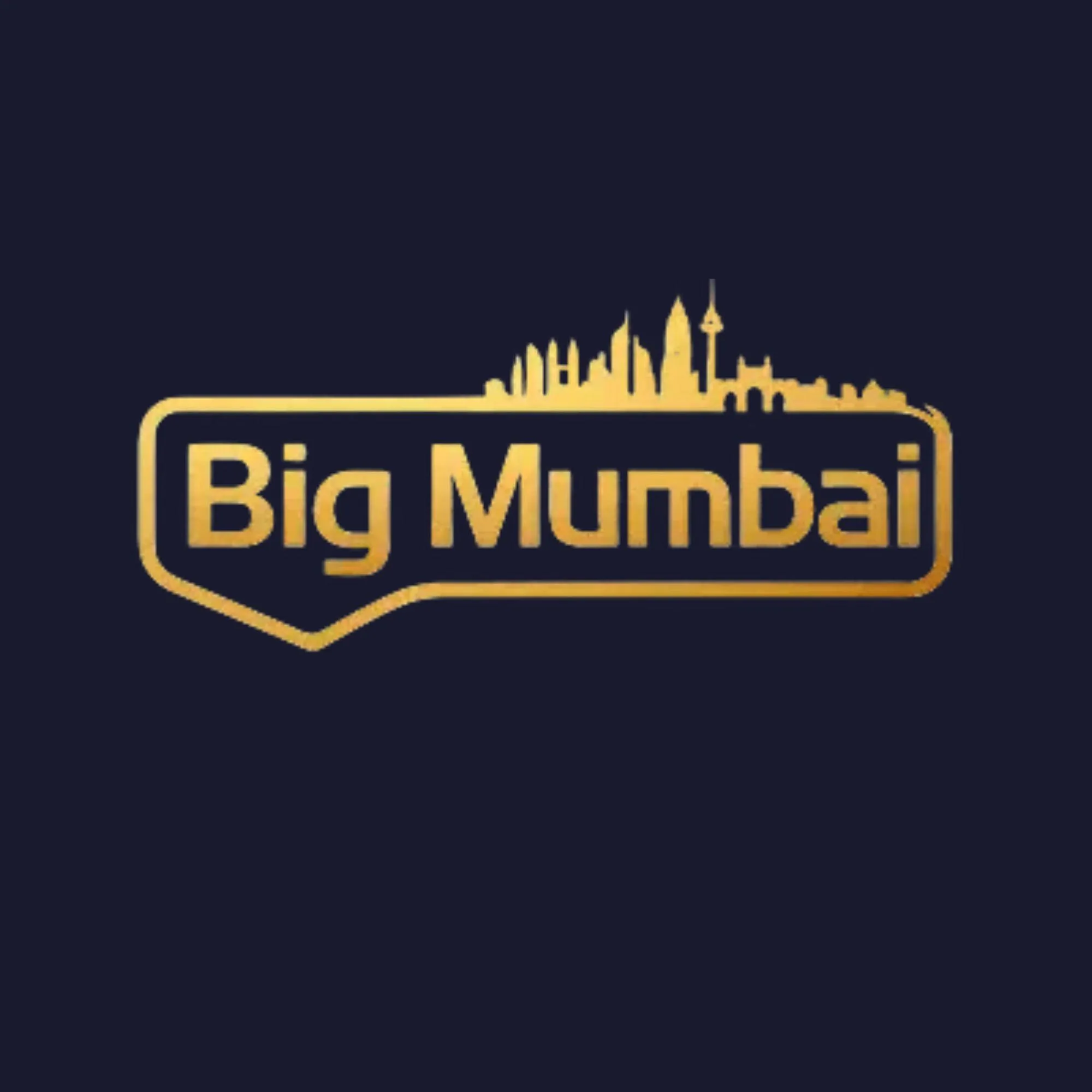 bigmumbairegister's profile photo