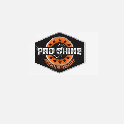 Pro Shine Concrete Restoration's profile photo
